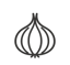 Onion